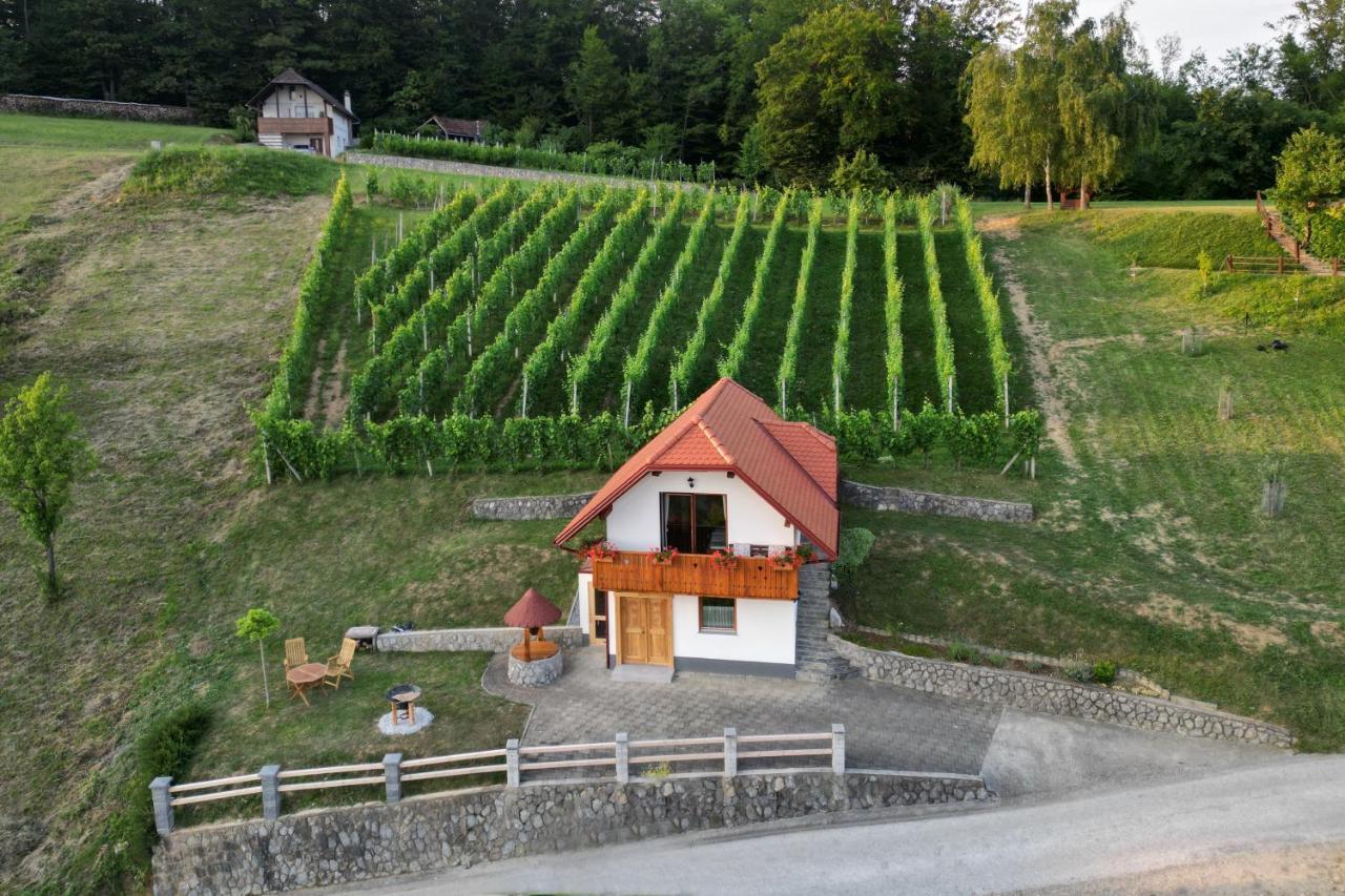 Vineyard Cottage Krivic Trebelno Exterior foto