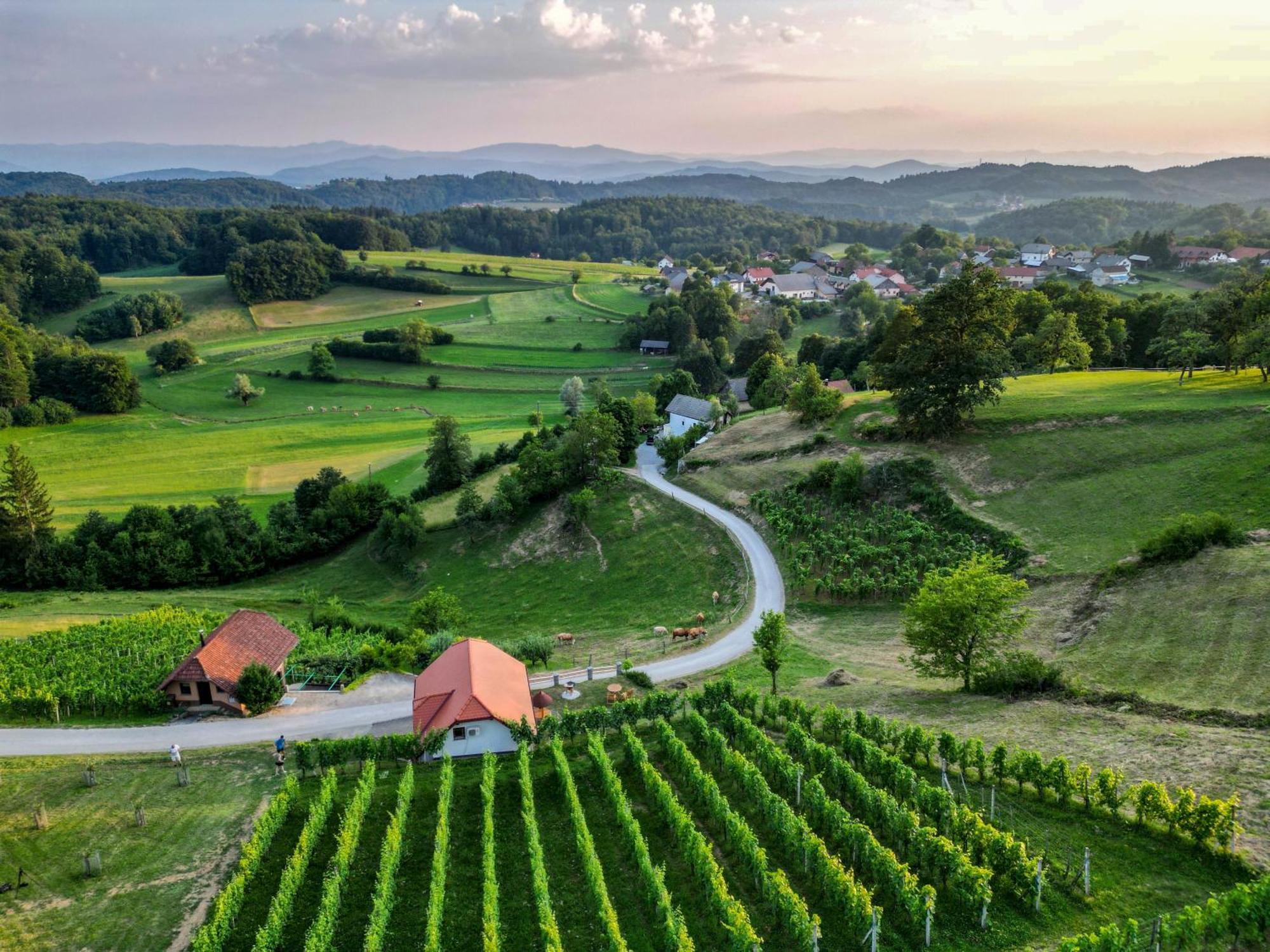 Vineyard Cottage Krivic Trebelno Exterior foto
